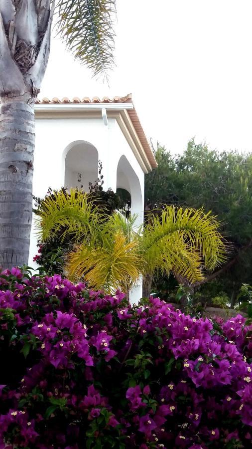 Apartamento Queen Palm *