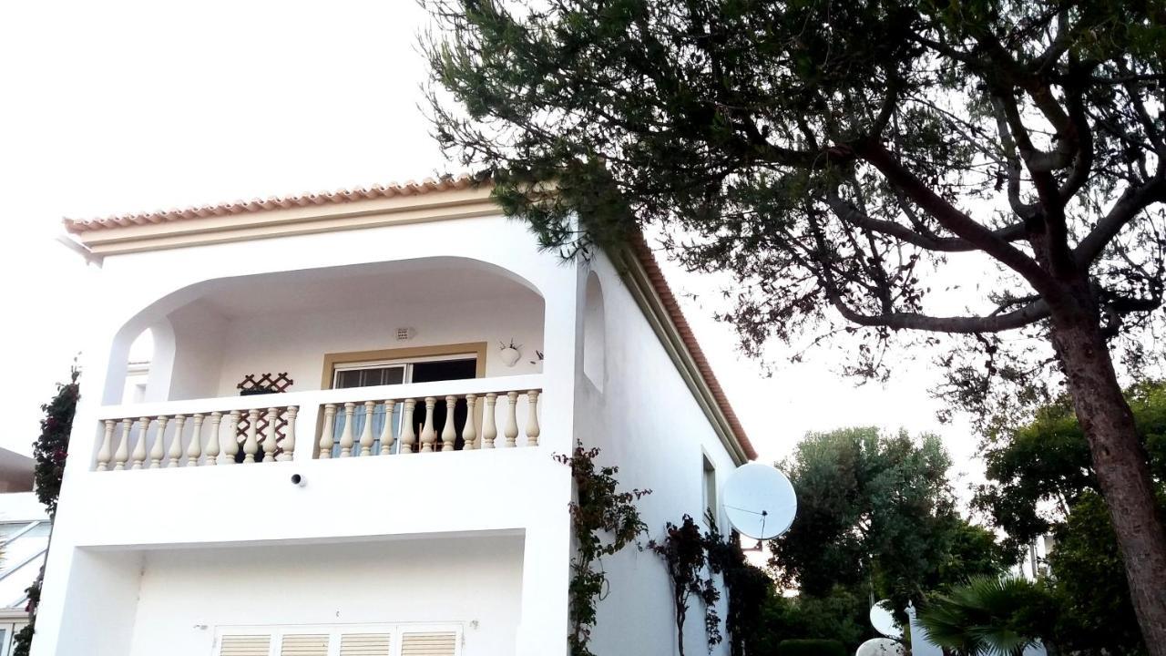 Apartamento Queen Palm Luz