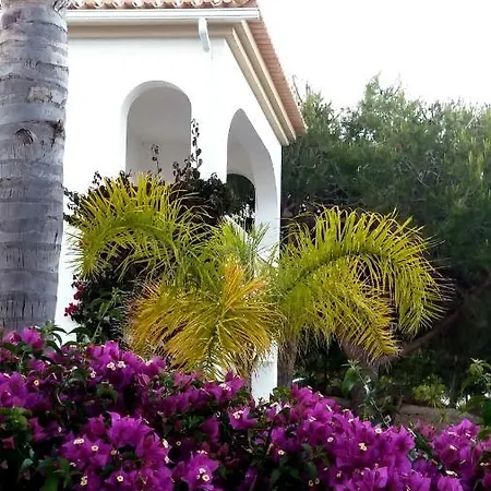Queen Palm Luz Extérieur photo