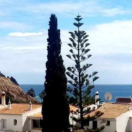 Queen Palm Luz Extérieur photo