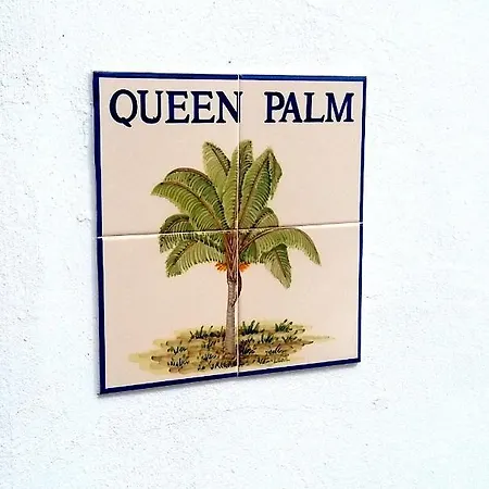 Queen Palm Luz Extérieur photo